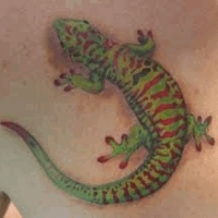 Значение и символизм татуировки ящерица
