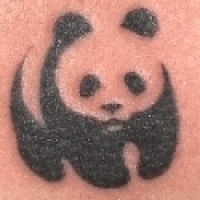 Значение и символизм татуировки панда