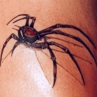Значение и символизм татуировки паук