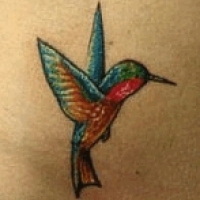 Значение и символизм татуировки колибри
