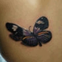 Значение и символизм татуировки бабочка