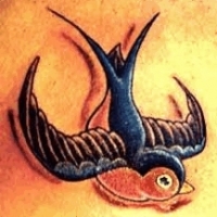 Значение и символизм татуировки ласточка