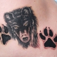 Значение и символизм татуировки волк тюремное значение