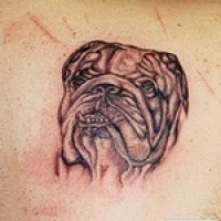 Значение и символизм татуировки собака