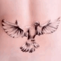 Значение и символизм татуировки голубь