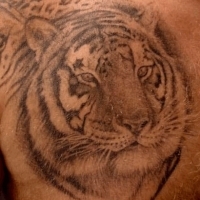 Значение тату тигр