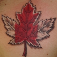Значение и символизм татуировки кленовый лист