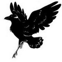 Эскизы для татуировки ворона