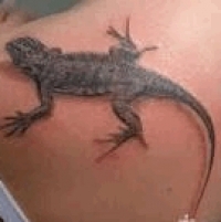 Значение и символизм татуировки саламандра