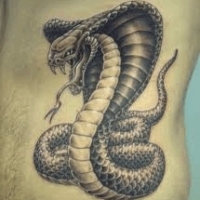 Значение и символизм татуировки кобра