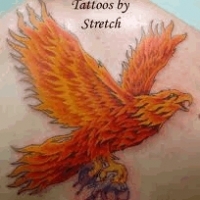 Значение и символизм татуировки феникс или жар птица