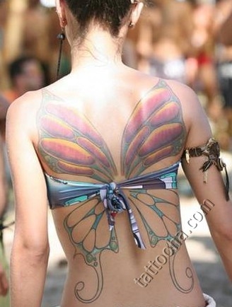 Цветные крылья бабочки