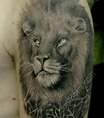 Выразительный лев на плече