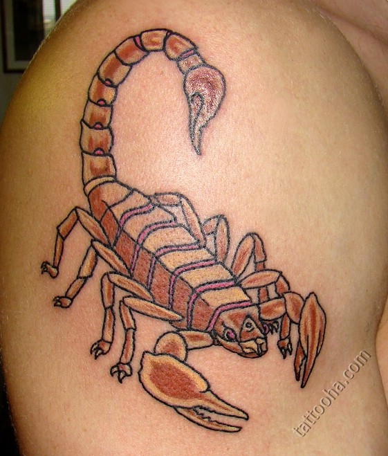 Египетский скорпион