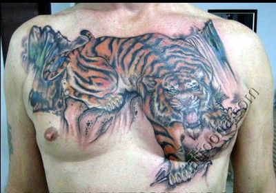 Тигр на груди