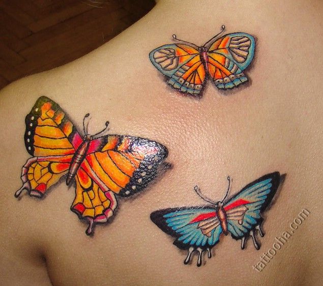 Три ярких бабочки