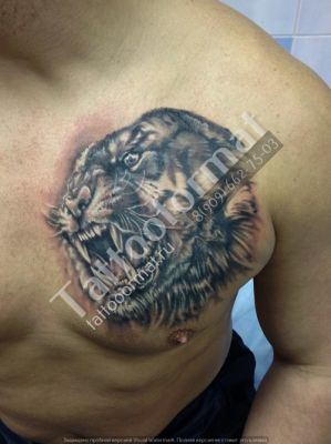 Тигр с оскалом на груди