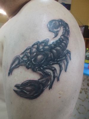 Большой скорпион на плече