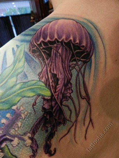 Медуза с водорослями