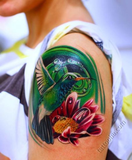 Красивая колибри с цветком