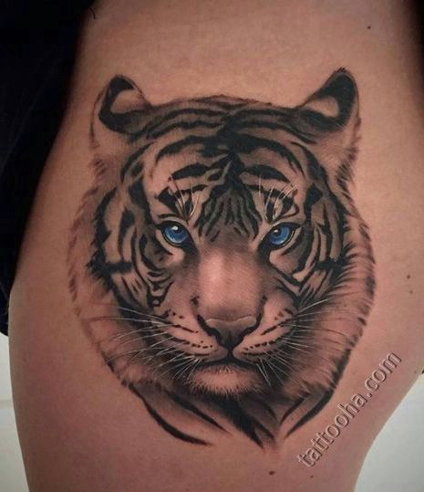 Тигрица с голубыми глазами