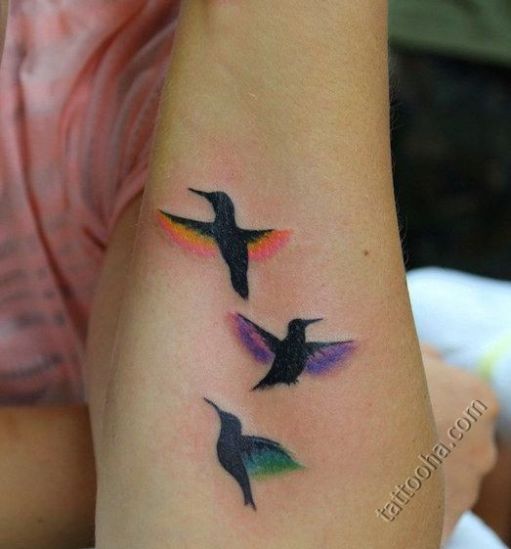 Взлетающие колибри