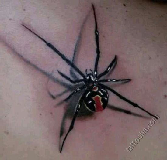 Растянувшийся паук