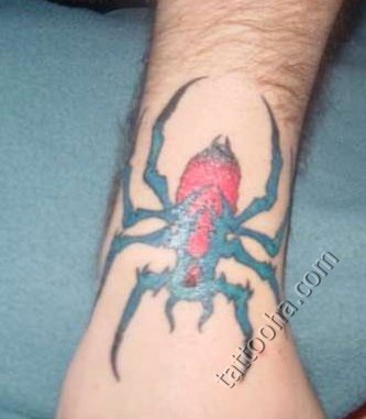 Зелоный паук с красной меткой на руке