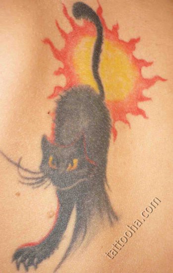 Злой кот и красное солнце