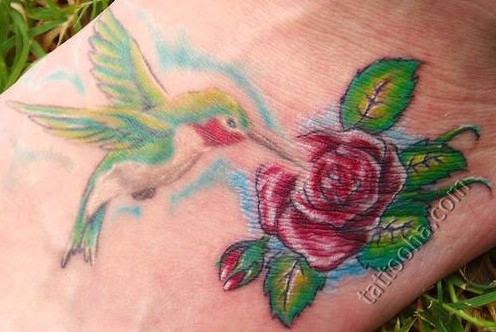 Колибри с розой