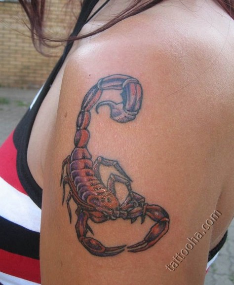 Красный скорпион змея