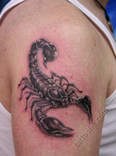 Значение тату 'Скорпион'