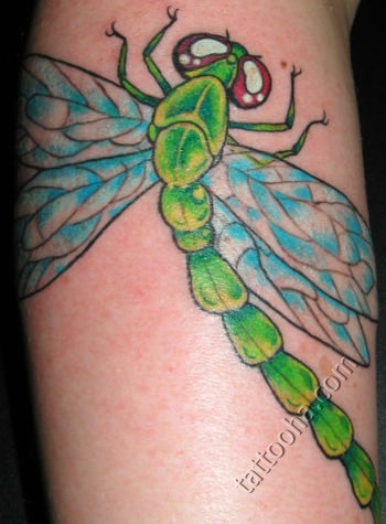 Зеленная стрекоза с голубими крыльями