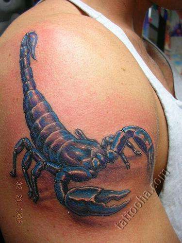 Ядовитый скорпион с синим отливом