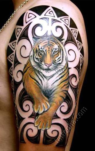 Тигр индийский