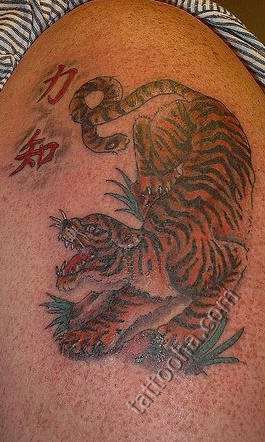 Тигр с иероглифами