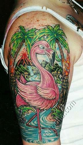 Фламинго на фоне пальм