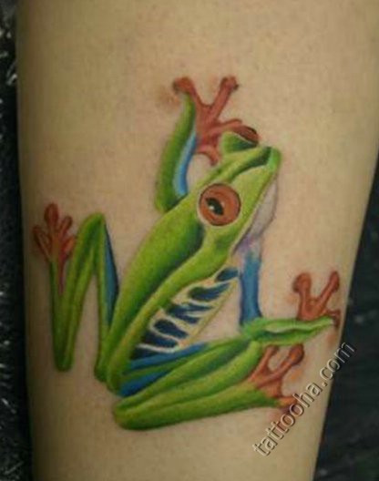 Зеленная лягушка