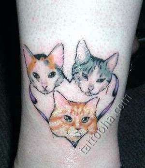 Три кошки с сердечком