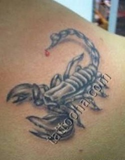 Скорпион с каплей яда