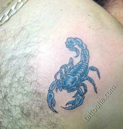 Скорпион Скорпион холодный синий