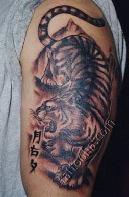 Тигр с иероглифами