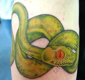 Опасная зеленная змея с большим глазом