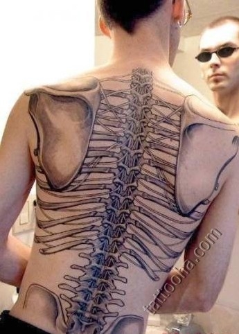 Скелет спины