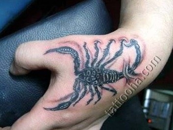 Черный ядовитый скорпион на руке