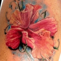 Значение и символизм татуировки орхидея