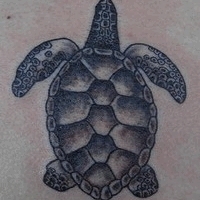 Значение и символизм татуировки черепаха