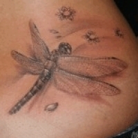 Значение и символизм татуировки стрекоза