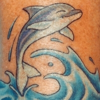 Значение и символизм татуировки дельфин