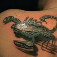 Значение и символизм татуировки скорпион